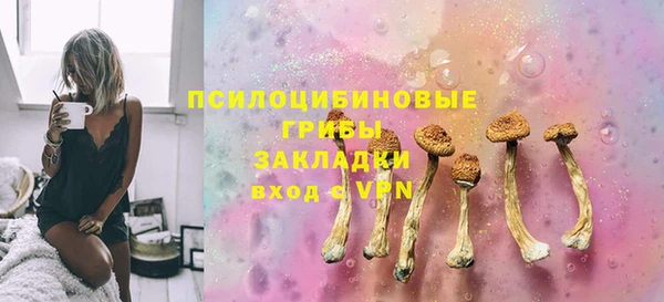 прущая мука Пересвет